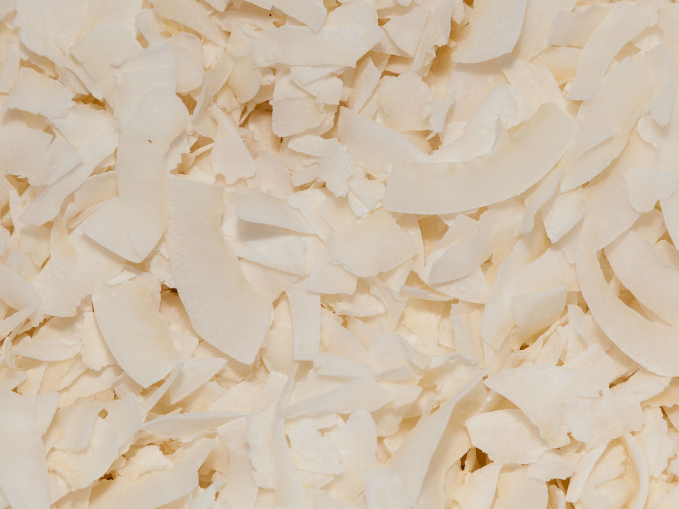 Organic Coconut Chips