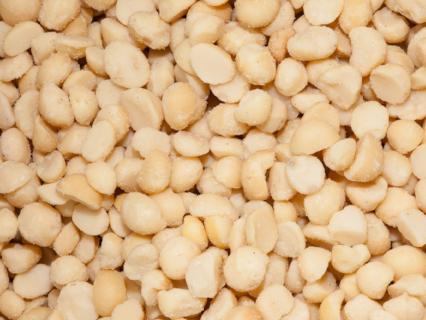Organic Macadamia Nuts