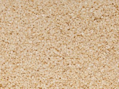 Organic Sesame Seeds