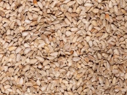 Organic Sunflower Seeds