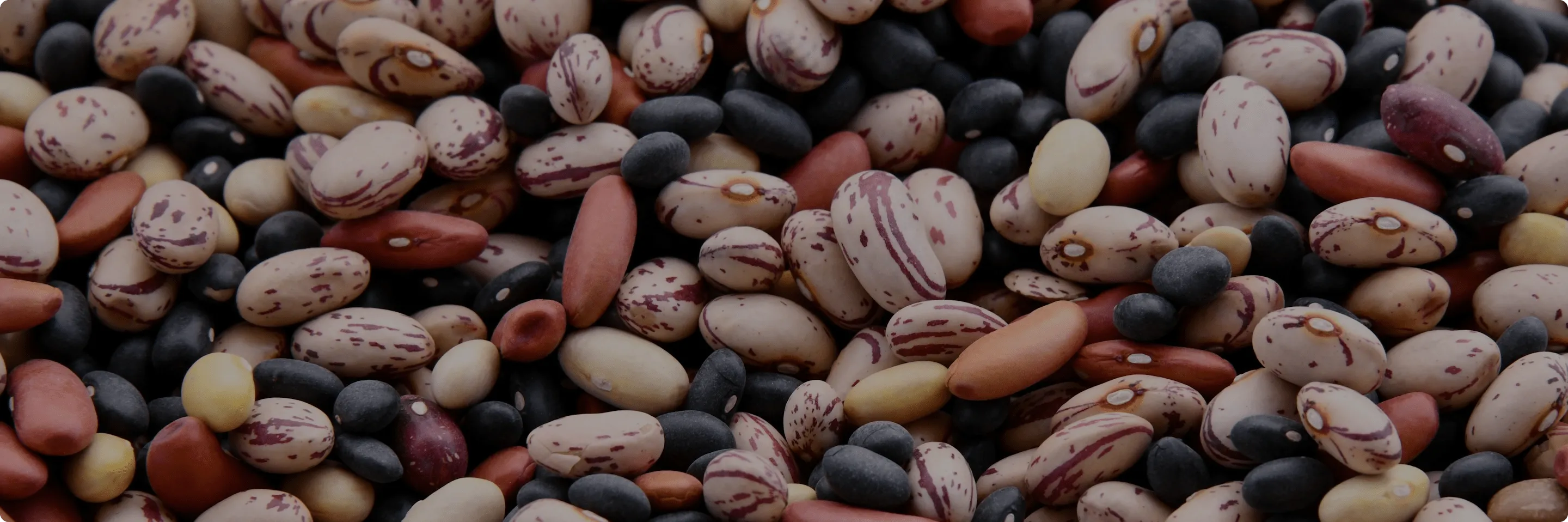 Organic Beans & Legumes