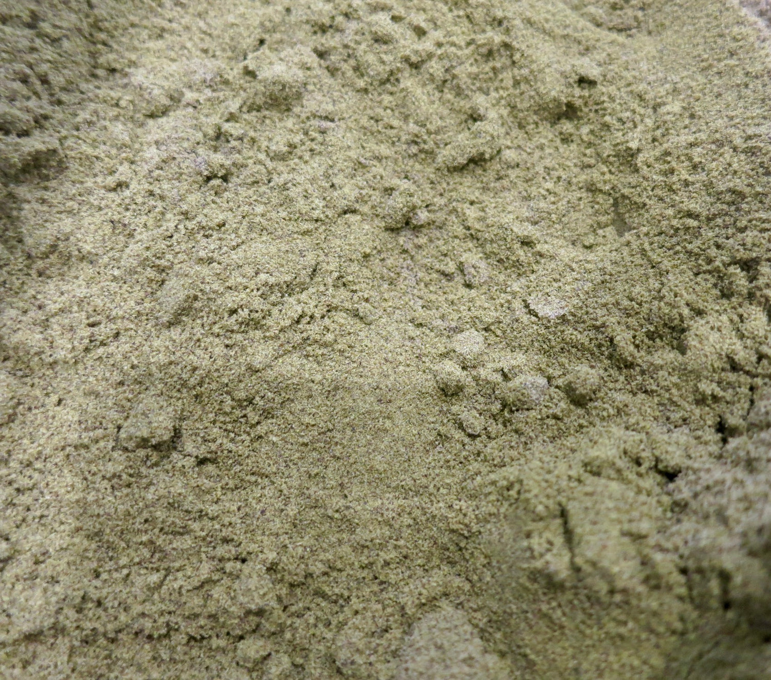 Hemp Protein