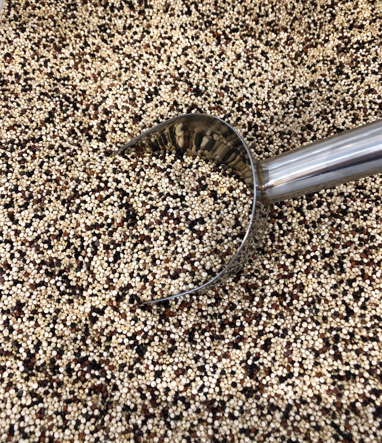 Organic Quinoa Mixed