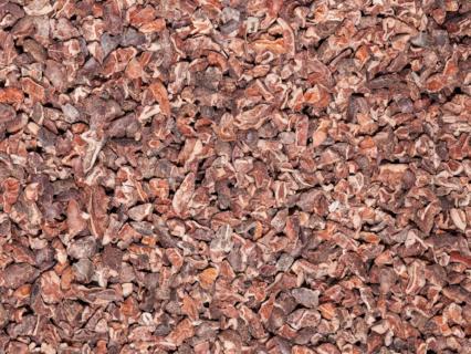 Organic Cacao Nibs