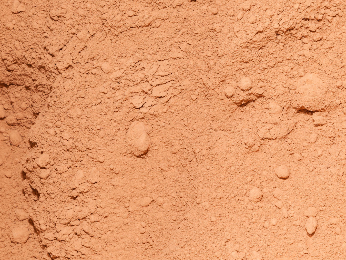 Organic Cacao Powder