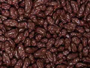 Organic Dark Chocolate Goji Berries