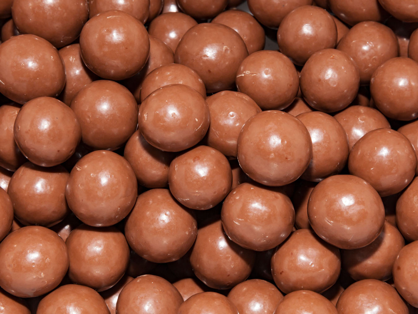 Organic Milk Chocolate Macadamias