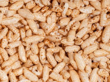 Organic Puffed Brown Rice
