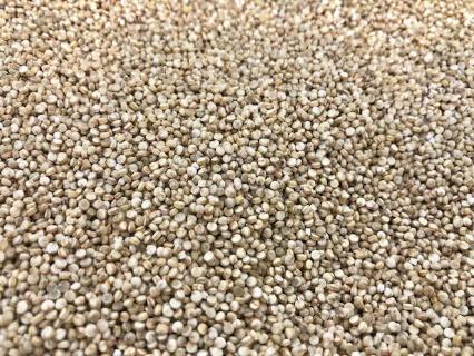 Organic Quinoa