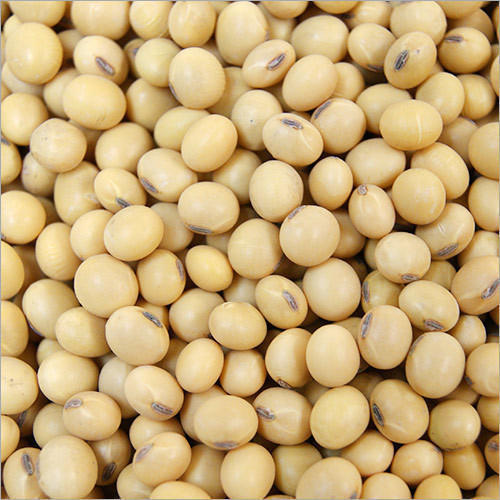 Organic Soya Beans