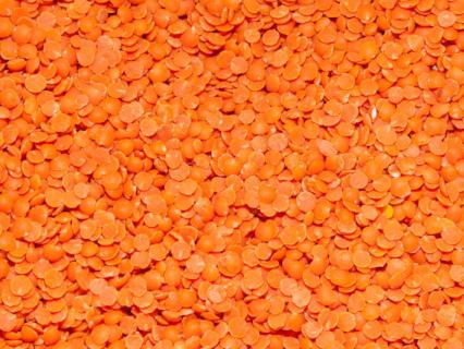 Organic Spilt Red Lentils